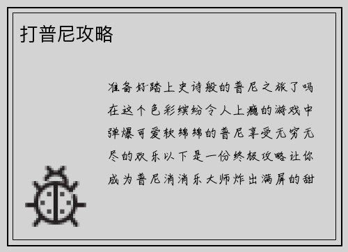 打普尼攻略